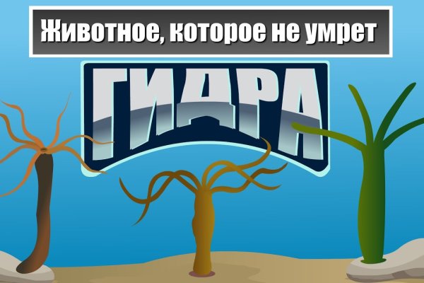 Ссылка на кракен через тор