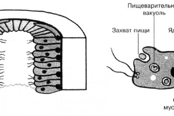 Kra15.cc