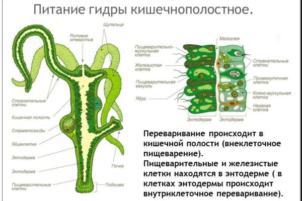 Где найти ссылку на кракен