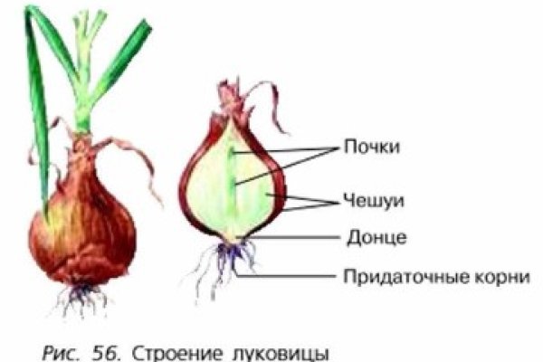 Кракен оригинальная ссылка для тор